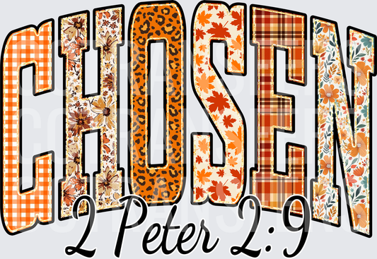 Chosen 1 Peter 2:9 Fall Patchwork Arched Letters (DTF)
