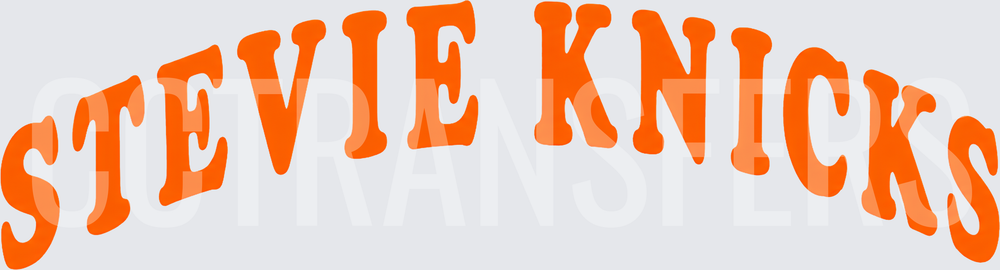 Stevie Knicks Arched Orange Retro Text (DTF)