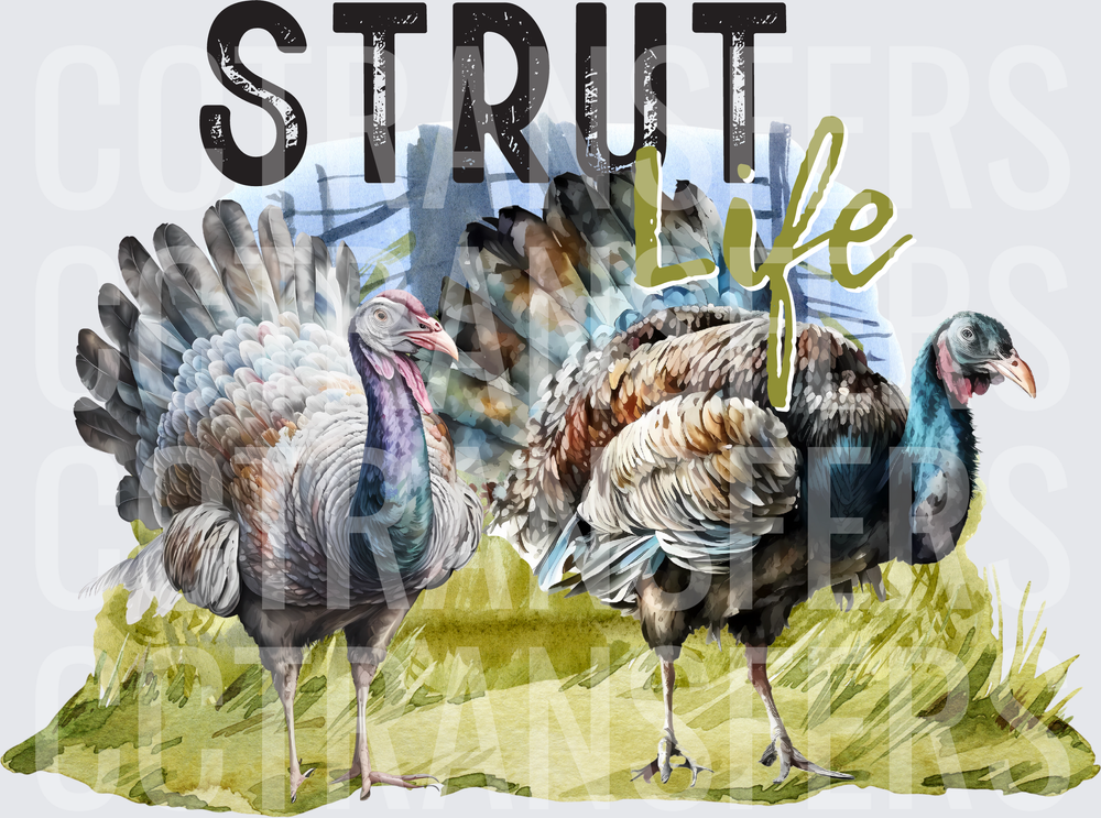 Strut Life Watercolor Wild Turkeys in Grass (DTF)