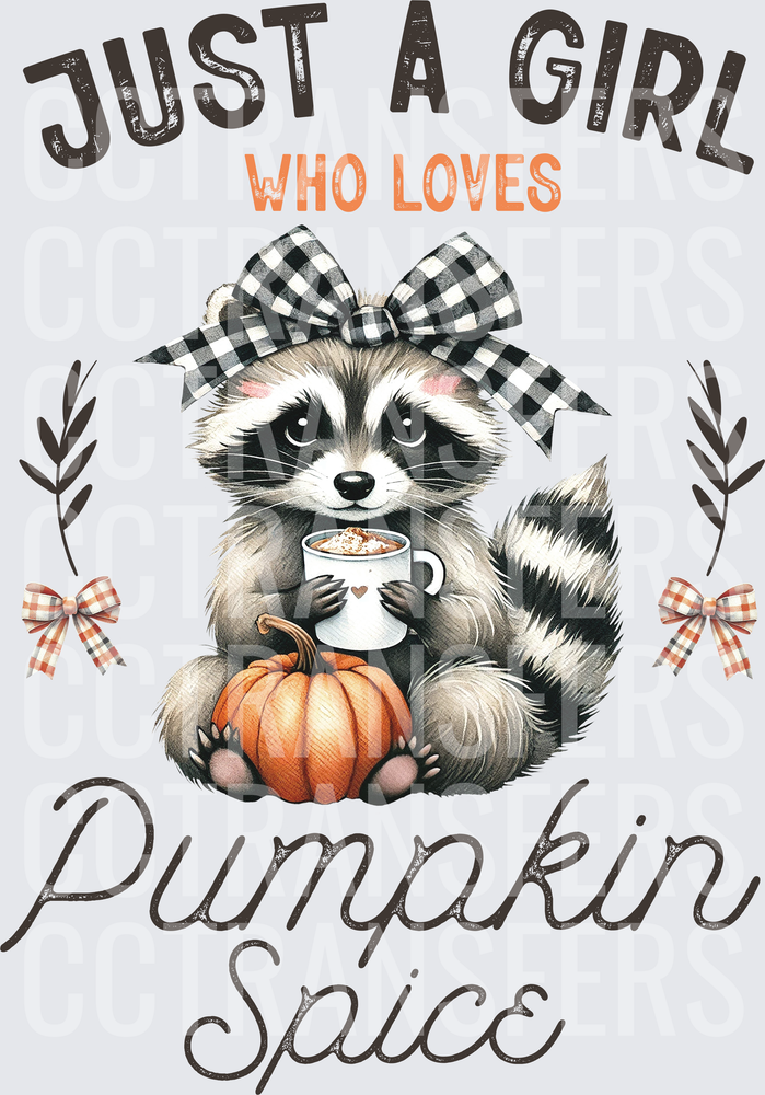 Just A Girl Who Loves Pumpkin Spice Raccoon (DTF)