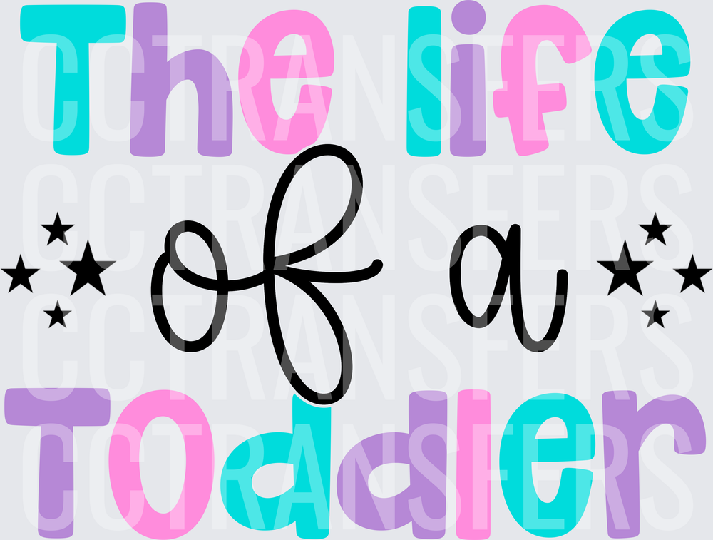 The Life of a Toddler Colorful Stars Typography (DTF)