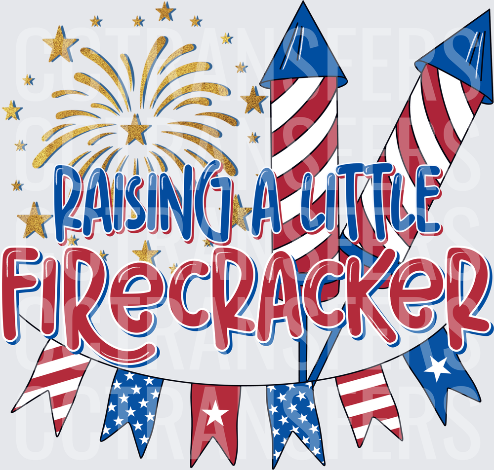 Raising A Little Firecracker Patriotic Rockets Bunting (DTF)
