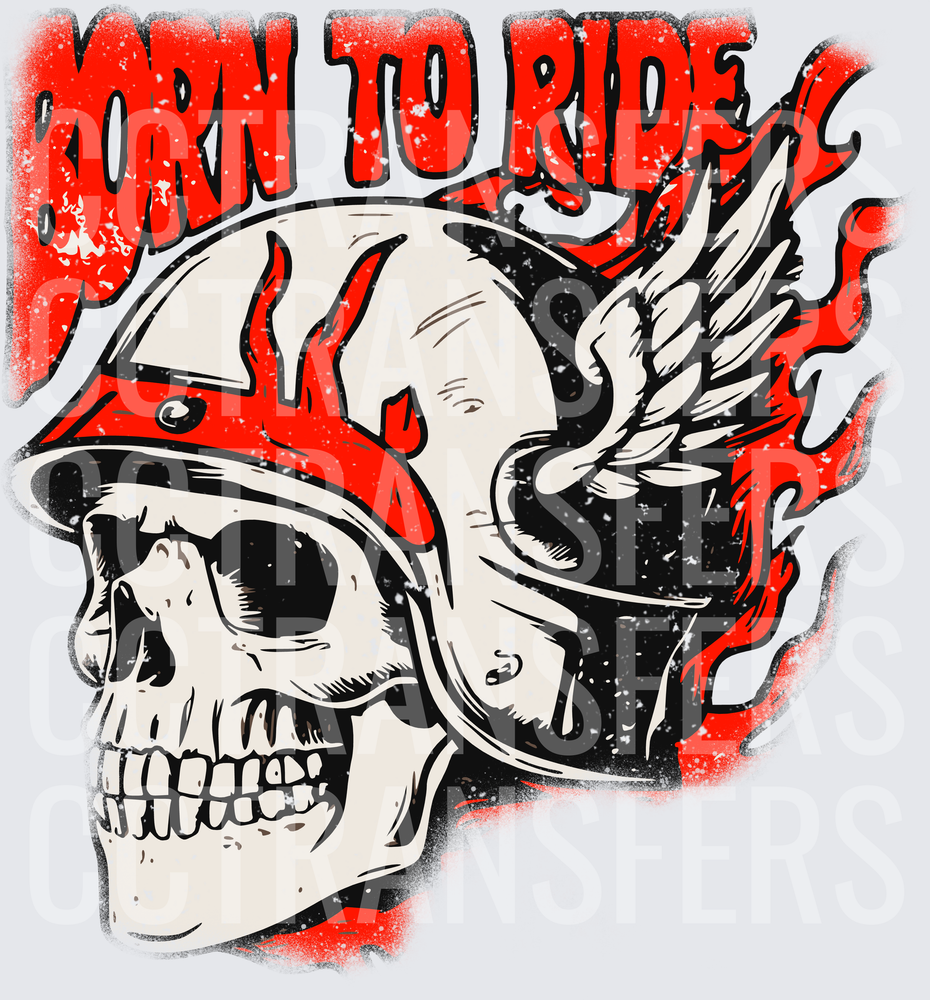 Born To Ride Flaming Skull Winged Helmet (DTF)