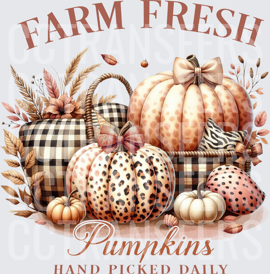 Farm Fresh Pumpkins Hand Picked Daily Leopard Plaid (DTF)