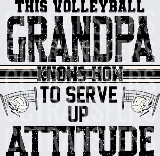 This Volleyball Grandpa Knows How To Serve Up Attitude (DTF)