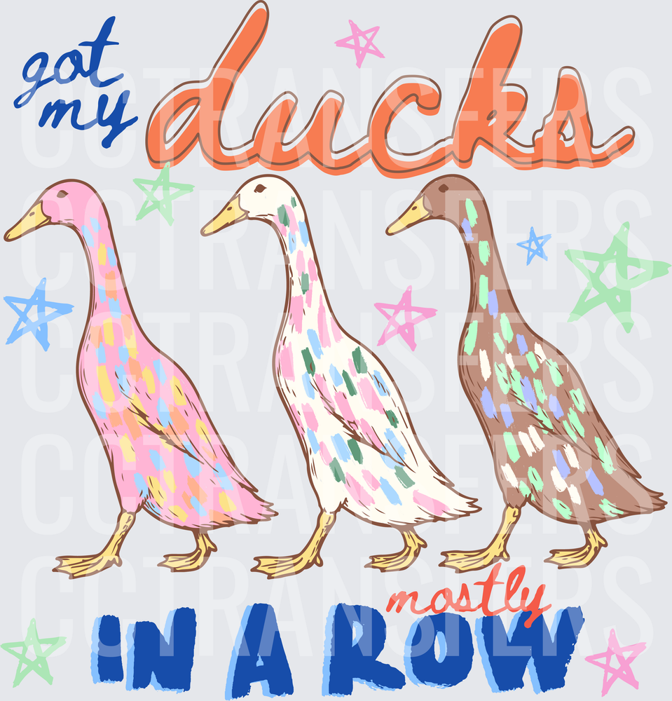 Got My Ducks Mostly In A Row Colorful Walking Ducks (DTF)