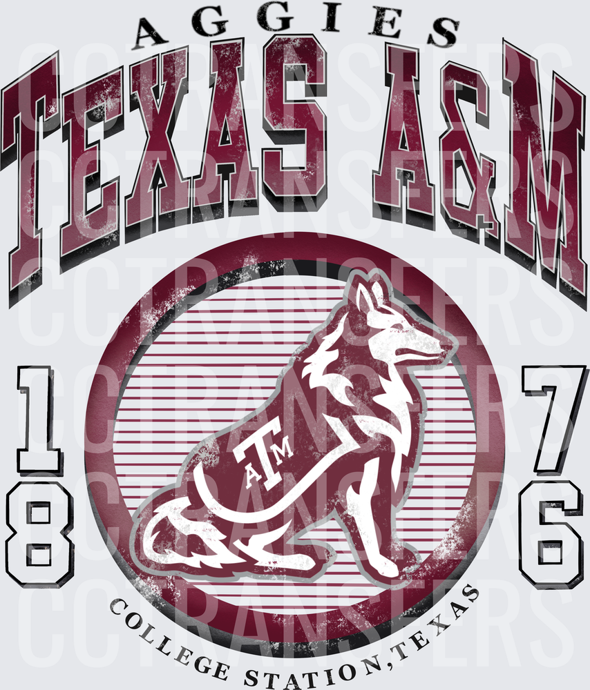Aggies Texas A&M 1876 College Station Texas (DTF)