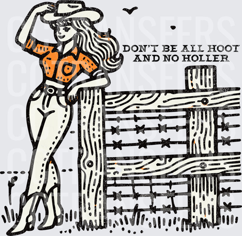 Cowgirl Leaning on Fence Don't Be All Hoot And No Holler (DTF)