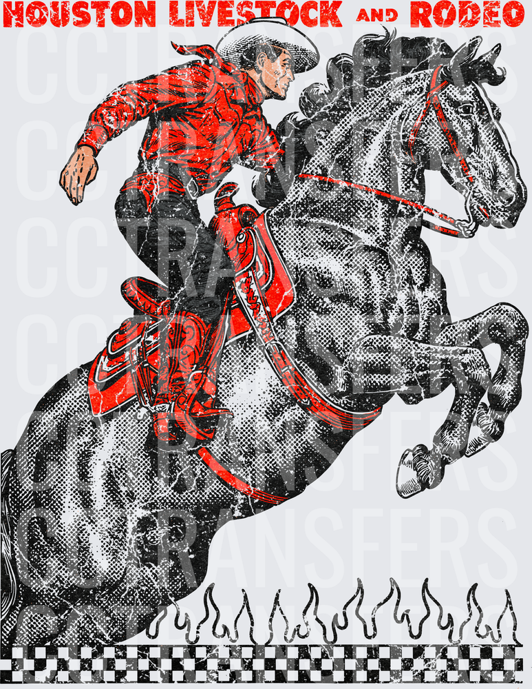 Houston Livestock and Rodeo Cowboy on Rearing Horse (DTF)