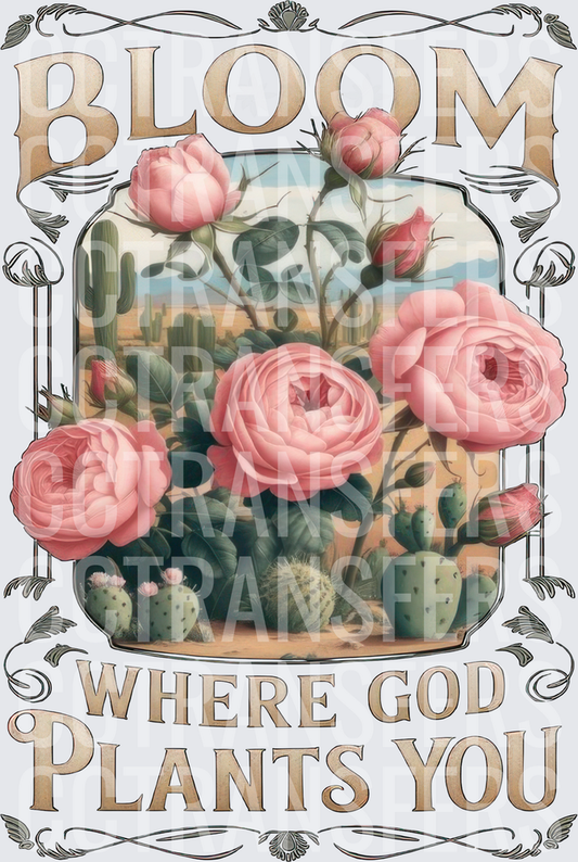 Bloom Where God Plants You Desert Rose Floral (DTF)