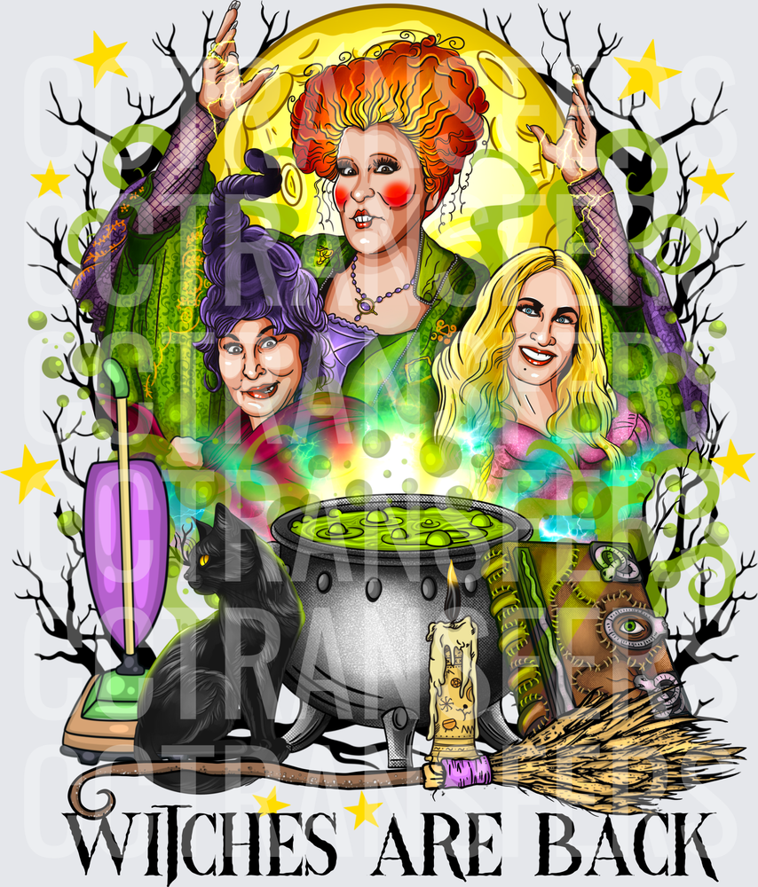 Witches Are Back Three Sisters Halloween Cauldron Moon (DTF)