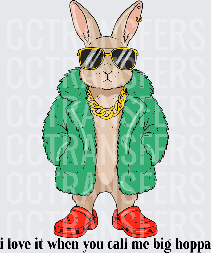 Hip Hop Bunny Green Fur Coat Gold Chain I Love It When You Call Me Big Hoppa (DTF)