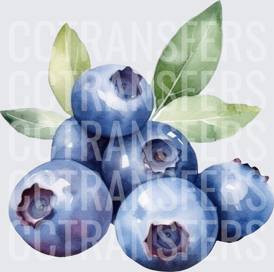 Watercolor Blueberry Cluster with Green Leaves (DTF)