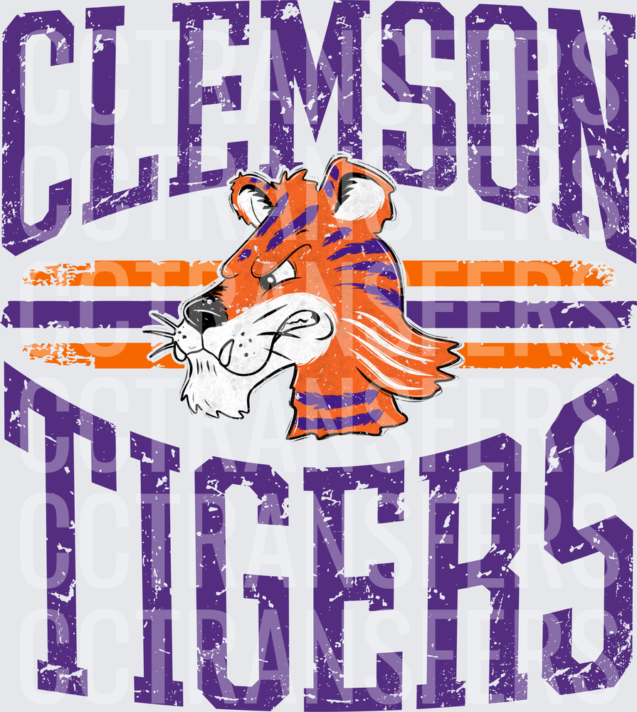 Vintage Distressed Tiger Mascot Stripes Grunge (DTF)