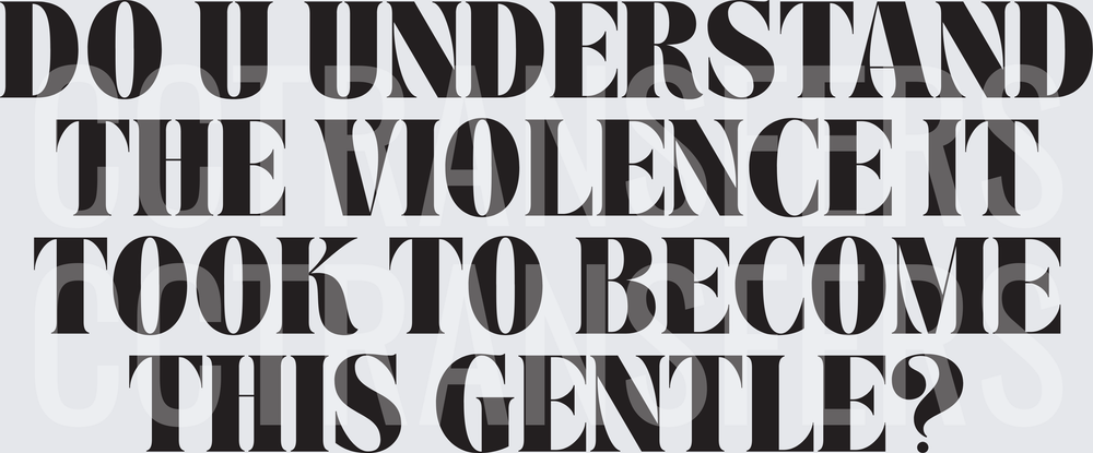 Do U Understand The Violence It Took To Become This Gentle (DTF)