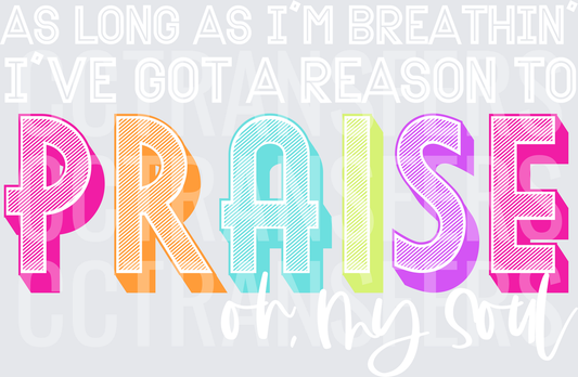 Colorful Retro Bold PRAISE Lettering with Shadow Effect (DTF)