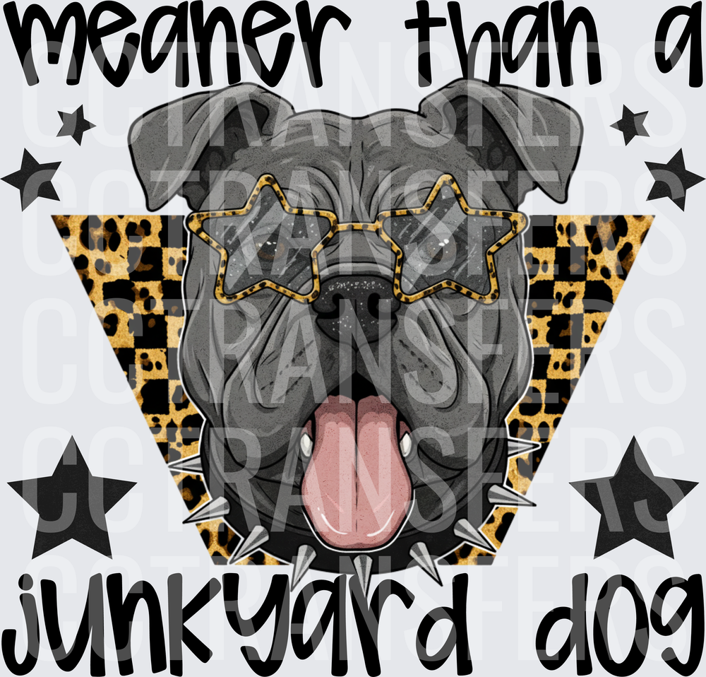 Meaner Than A Junkyard Dog Bulldog Star Sunglasses (DTF)