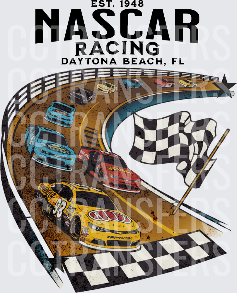 NASCAR Racing Est. 1948 Daytona Beach FL Race Cars (DTF)