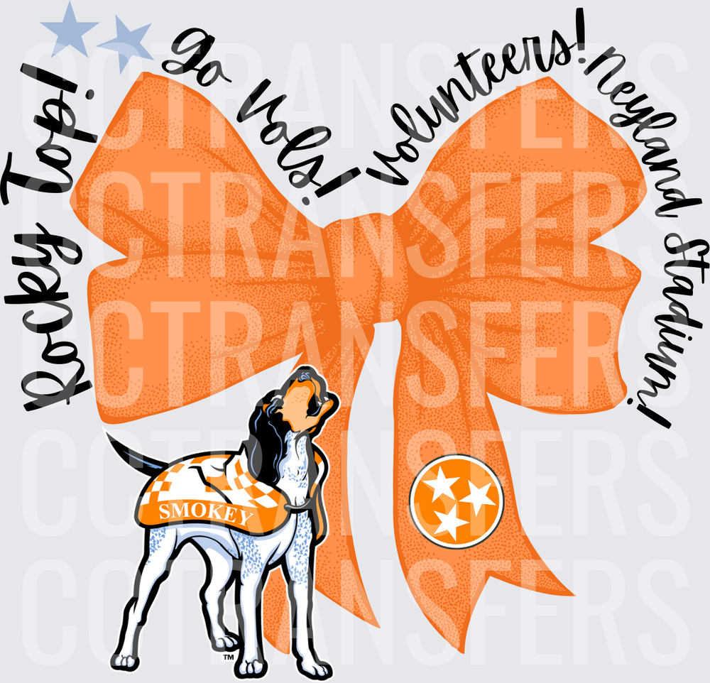 Rocky Top Go Vols Volunteers Neyland Stadium Bow Dog (DTF)