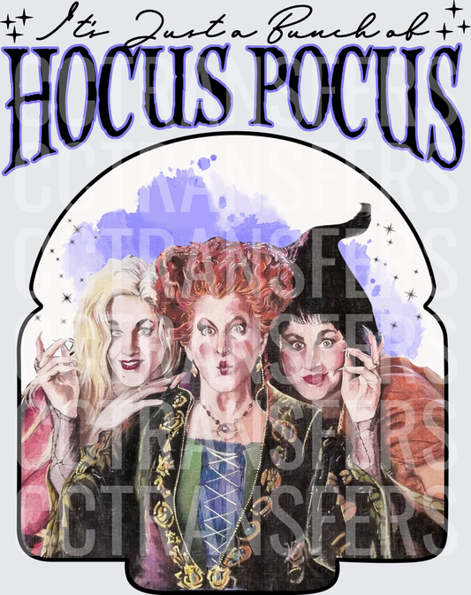 It's Just a Bunch of  Three Witches (DTF)