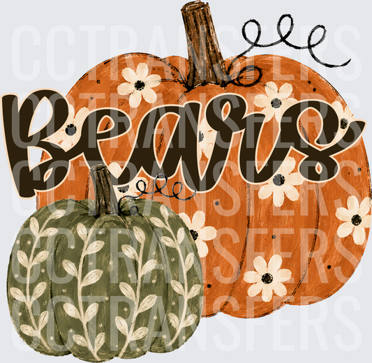 Bears Fall Floral Pumpkin Duo (DTF)