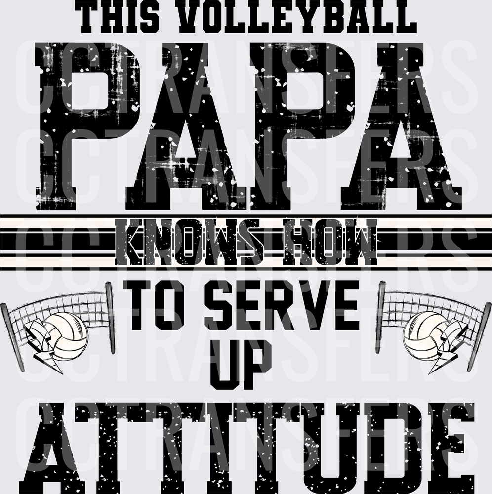 This Volleyball Papa Knows How To Serve Up Attitude (DTF)