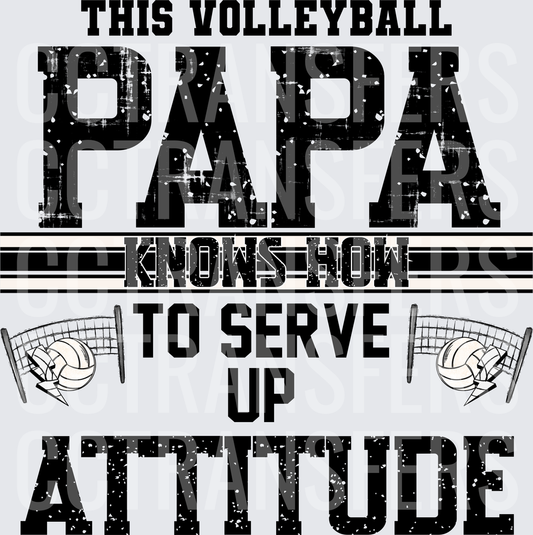 This Volleyball Papa Knows How To Serve Up Attitude (DTF)