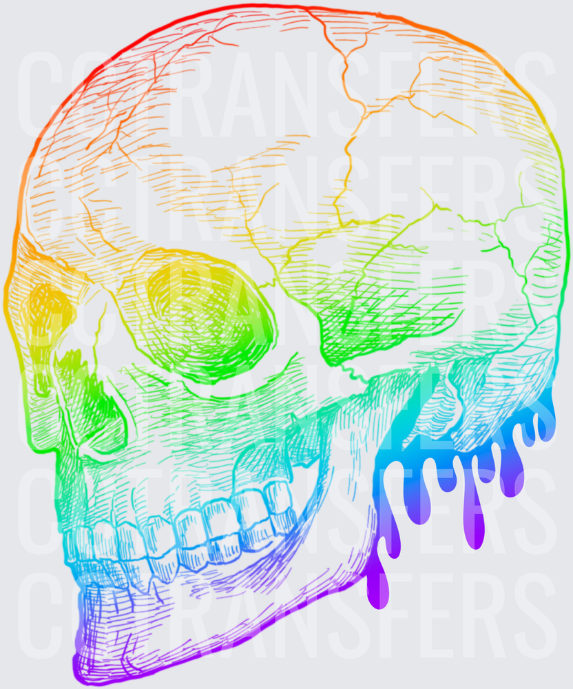 Rainbow Gradient Dripping Skull Side Profile Sketch (DTF)