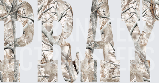 PRAY Winter Snow Camo Letters Design (DTF)