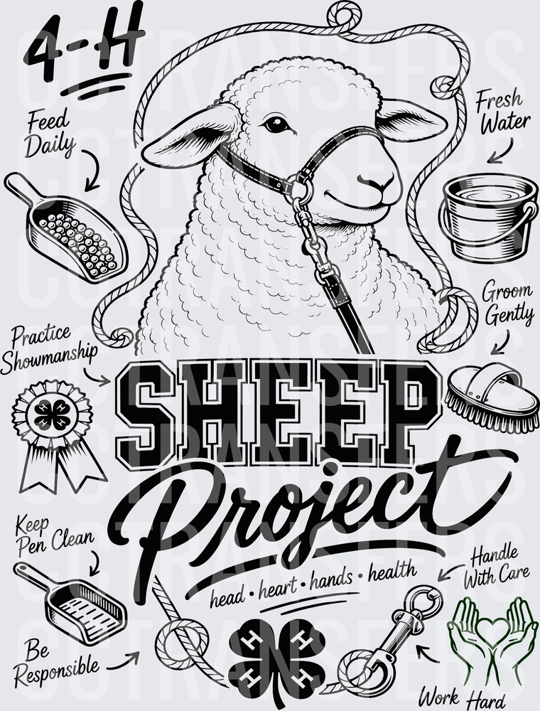 4-H Sheep Project Head Heart Hands Health (DTF)