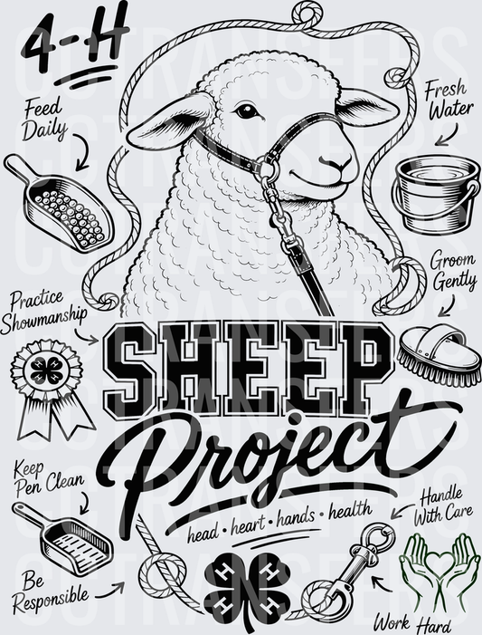 4-H Sheep Project Head Heart Hands Health (DTF)