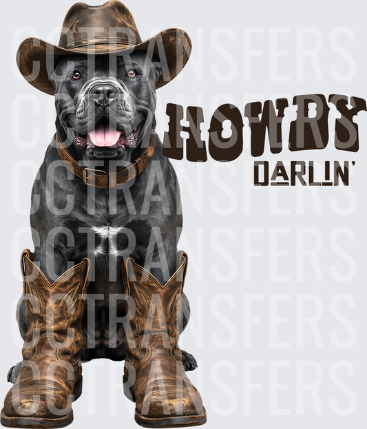 Howdy Darlin' Black Mastiff Cowboy Hat Boots (DTF)