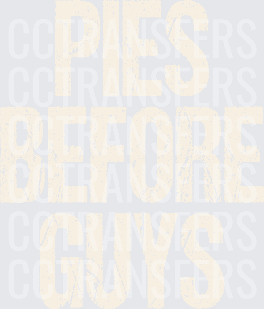 Pies Before Guys Distressed Bold Text (DTF)