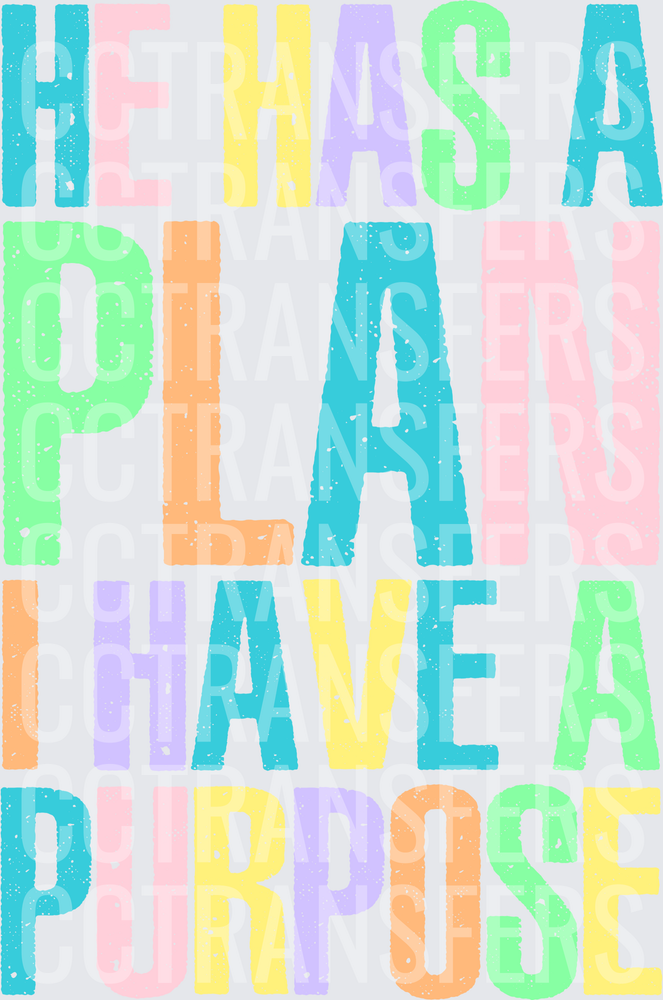 He Has A Plan I Have A Purpose Pastel Bold Text (DTF)