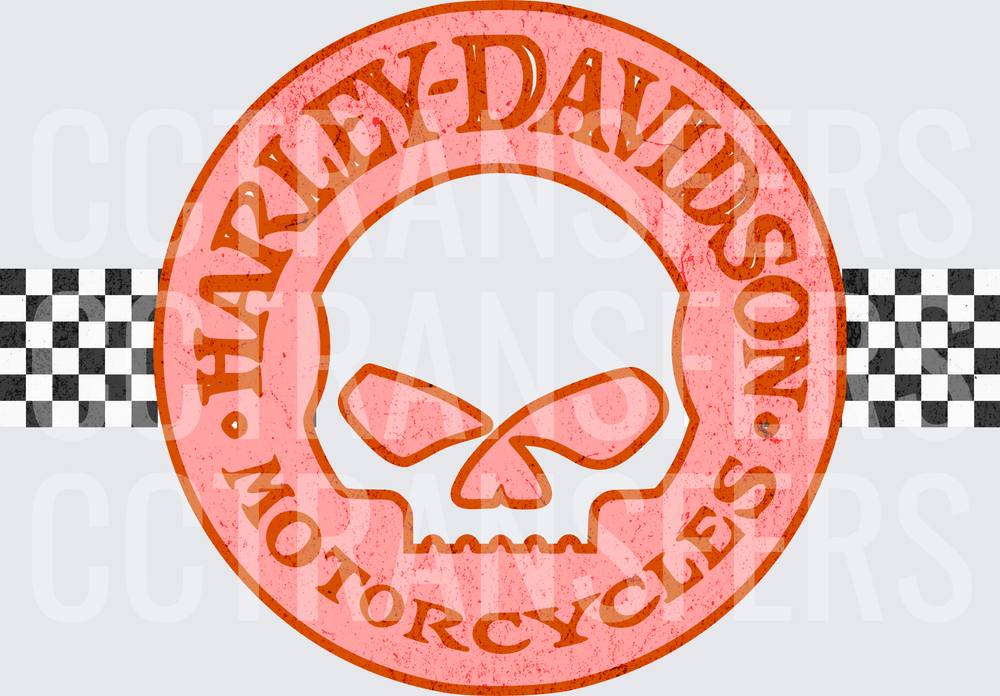 Vintage Motorcycle Skull Circle Badge Checkered Banner (DTF)