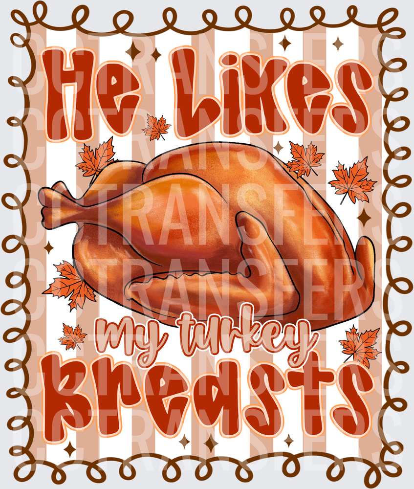 He Likes My Turkey Breasts Thanksgiving Roasted Bird (DTF)