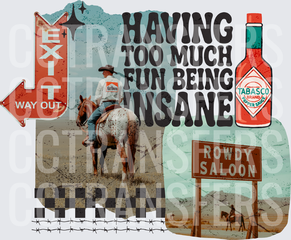 Having Too Much Fun Being Insane Western Cowboy (DTF)
