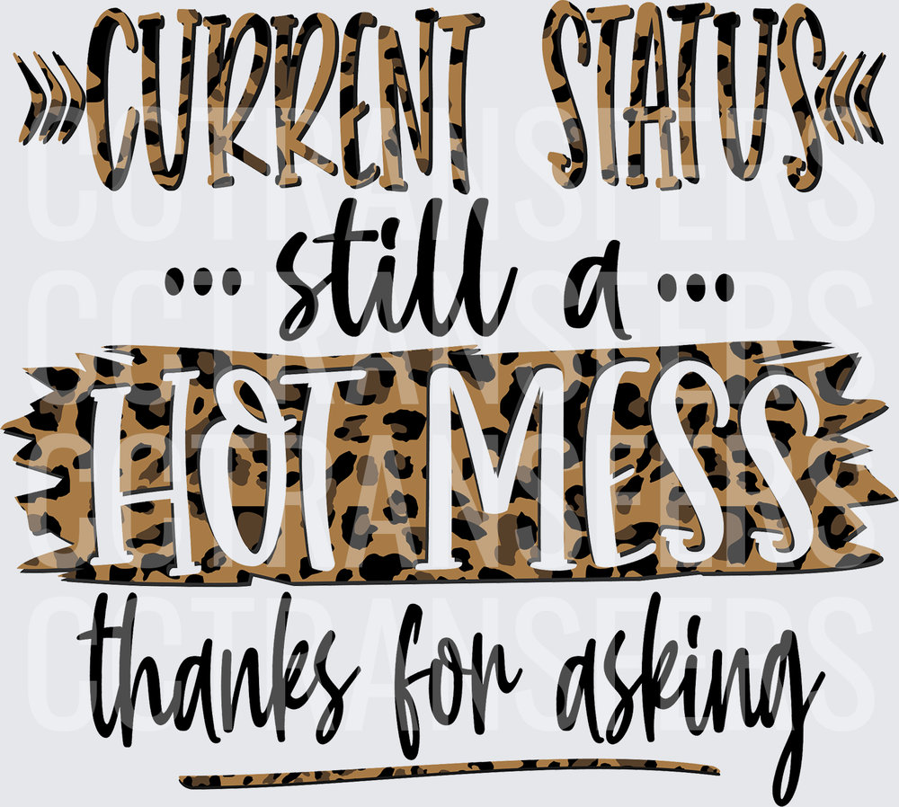 Current Status Still a Hot Mess Thanks for Asking (DTF)