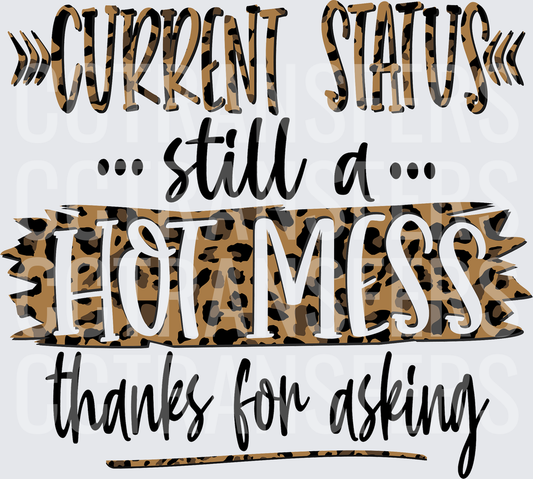 Current Status Still a Hot Mess Thanks for Asking (DTF)
