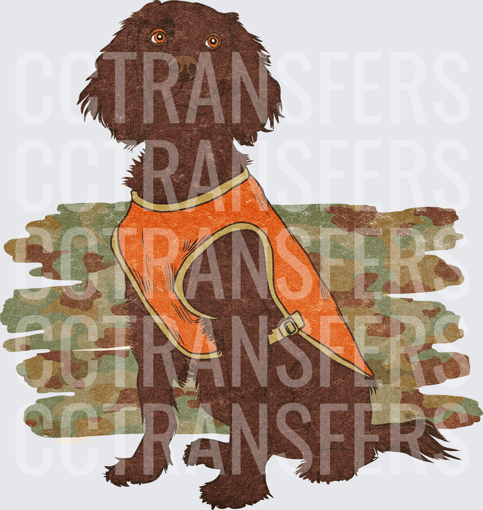 Dark Brown Spaniel in Orange Hunting Vest Camo Background (DTF)