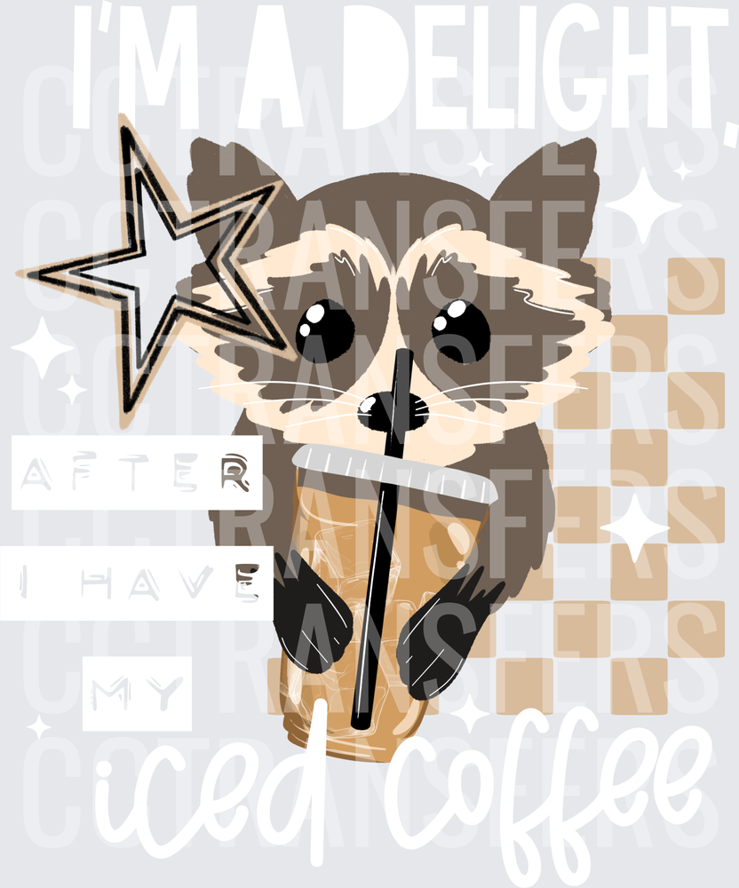 Cute Raccoon Sipping Iced Coffee Star Checkered (DTF)
