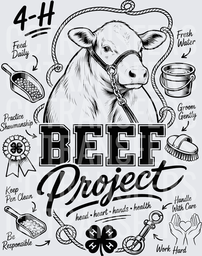 4-H Beef Project Head Heart Hands Health Cattle (DTF)