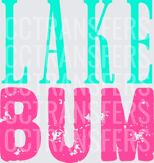 Lake Bum Teal and Pink Distressed Text (DTF)