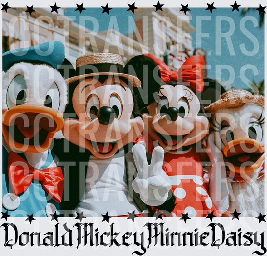 Theme Park Characters (DTF)