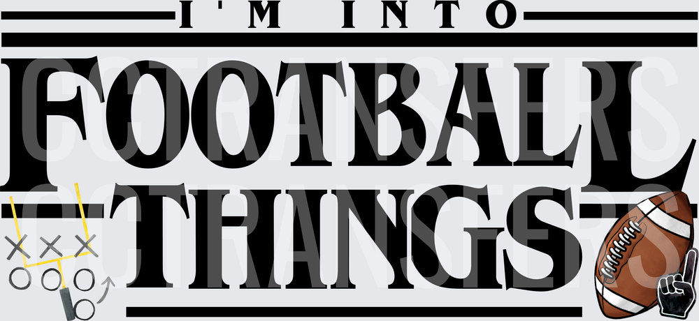 I'm Into Football Things Playbook Ball Fan (DTF)