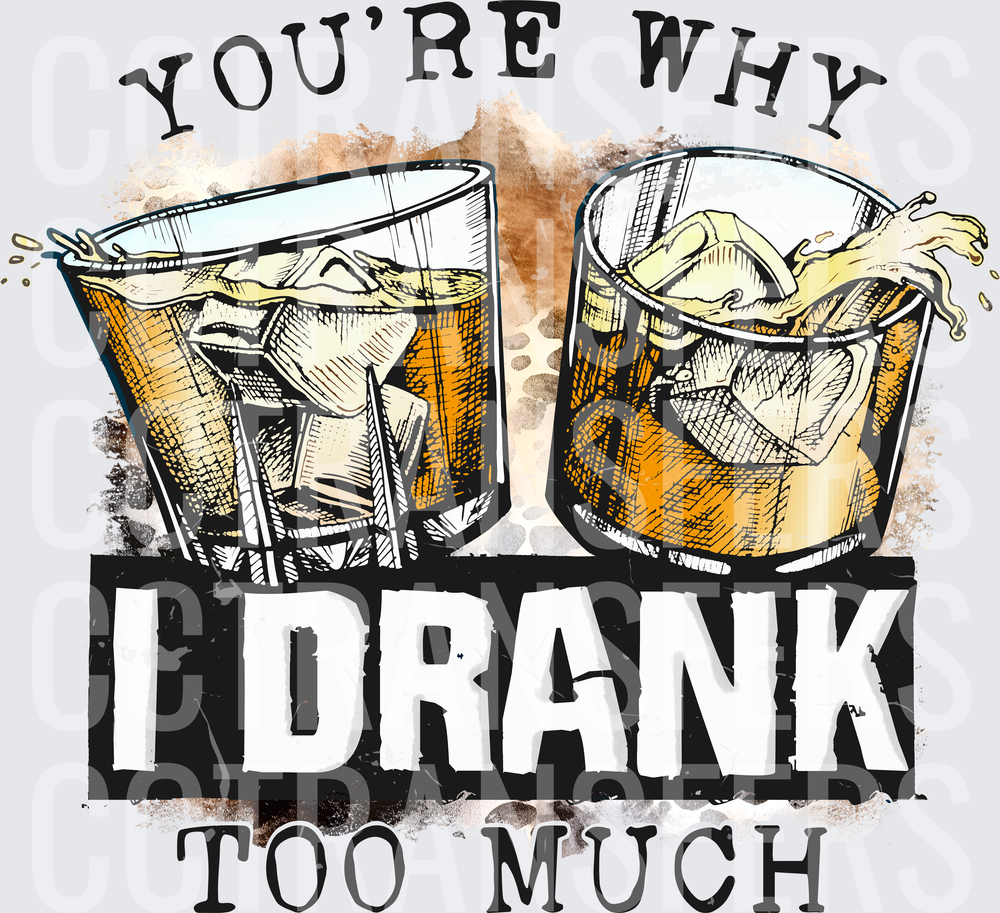You're Why I Drank Too Much Whiskey Glasses (DTF)