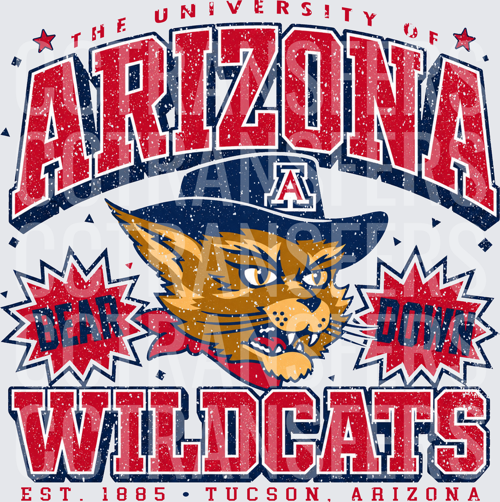 Bear Down Wildcats Arizona Est. 1885 Tucson Vintage (DTF)