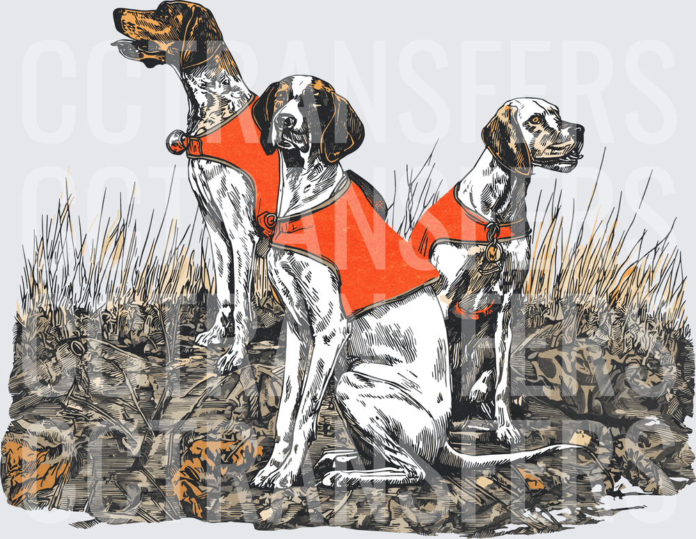 Three Bird Dogs in Orange Safety Vests Field Scene (DTF)