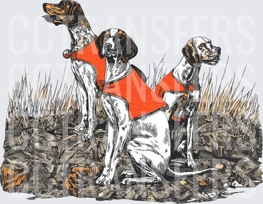 Three Bird Dogs in Orange Safety Vests Field Scene (DTF)