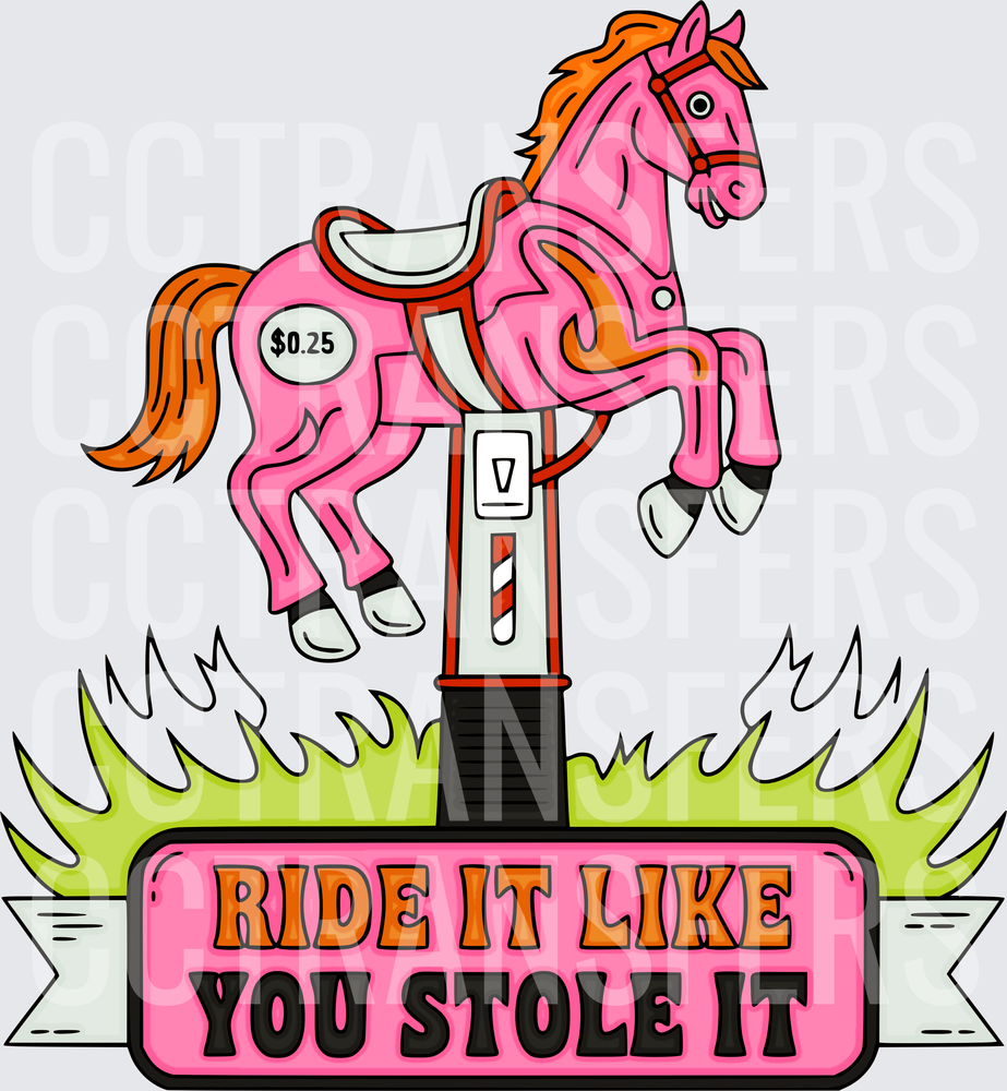 Ride It Like You Stole It Quarter Coin Horse Ride (DTF)